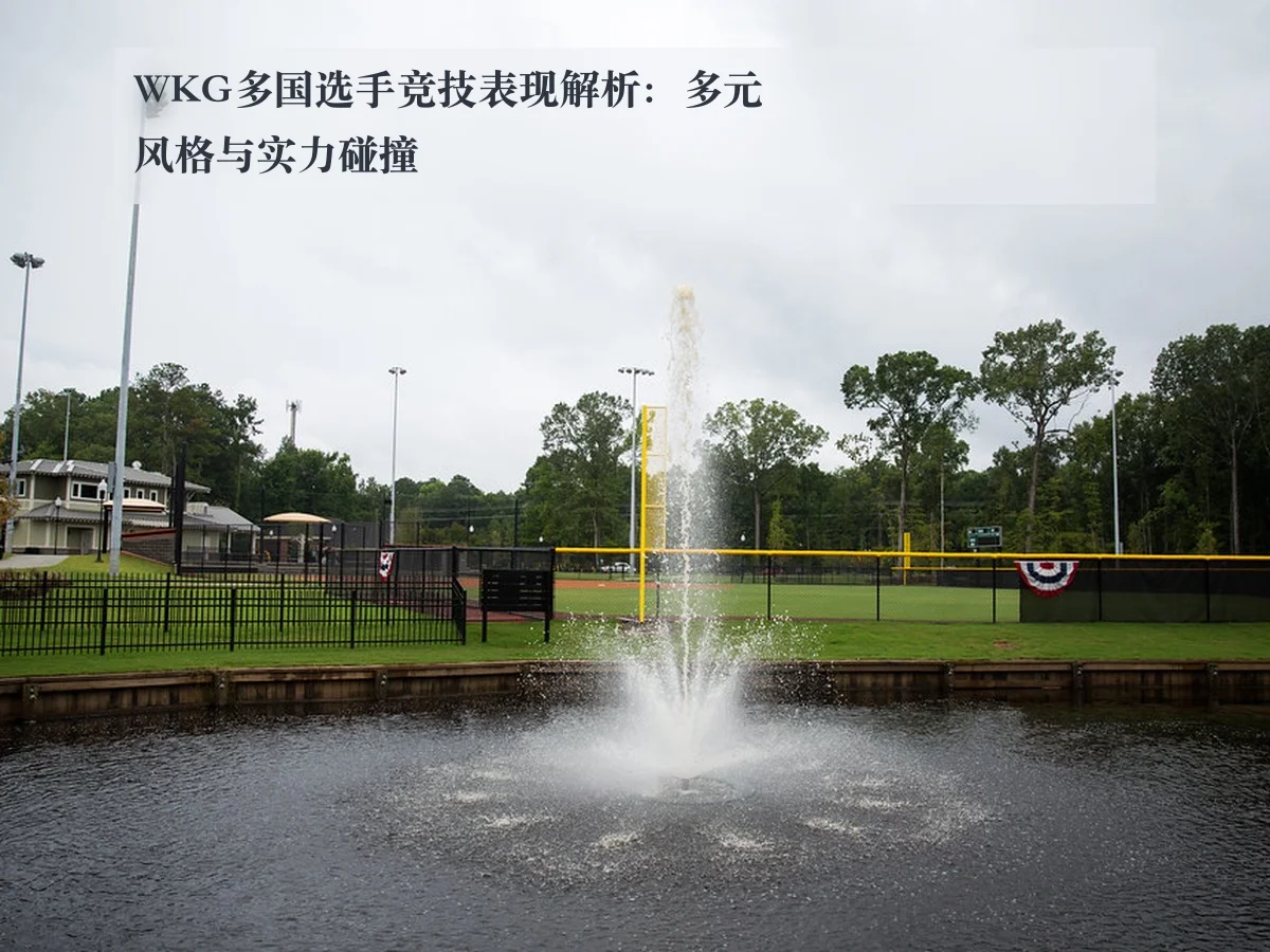 WKG多国选手竞技表现解析：多元风格与实力碰撞